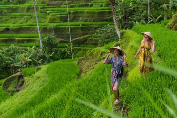 Rice Field Trekking