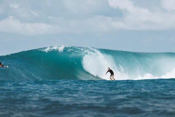 Surfing for Beginners