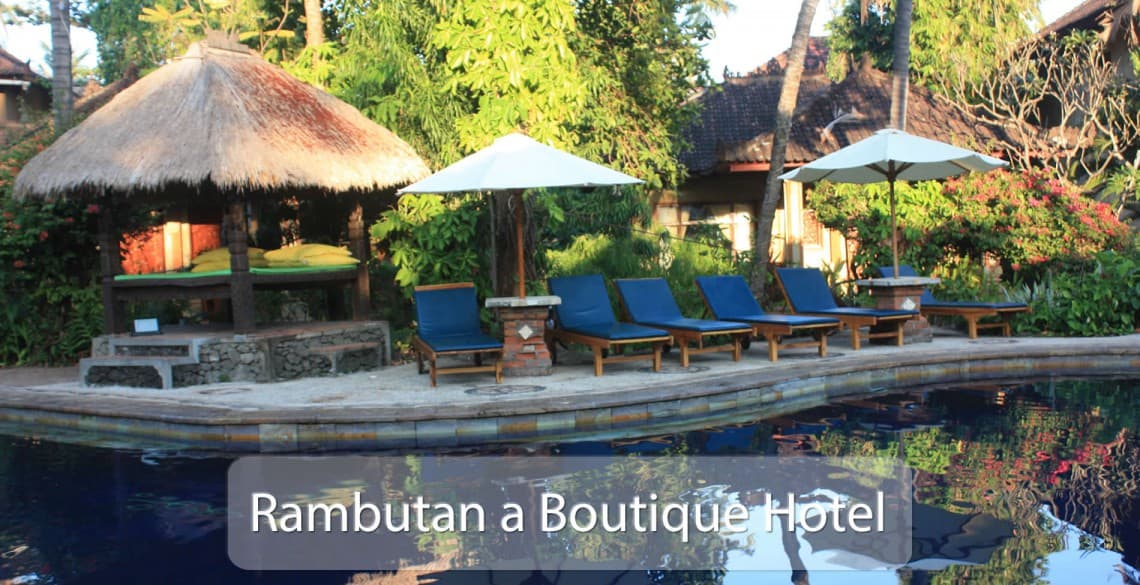 Lush garden at Rambutan Hotel